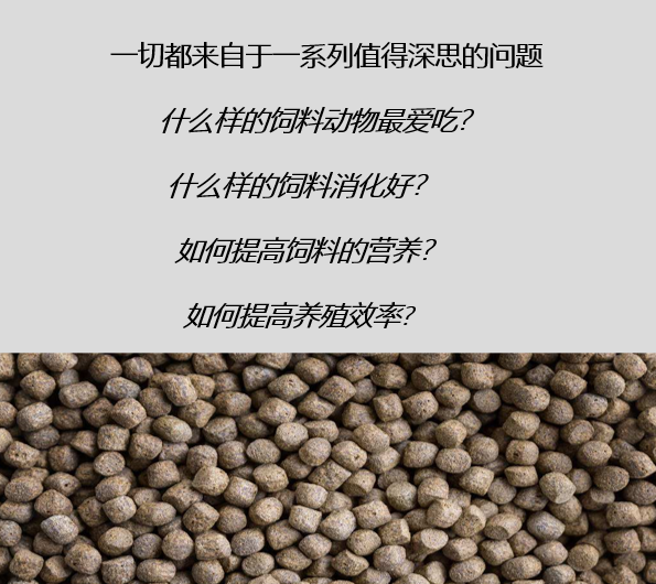 關(guān)于飼料生產(chǎn)的熟化工藝，以及保持器/保質(zhì)器的應(yīng)用解析